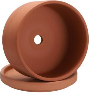 Shallow Terracotta Planter