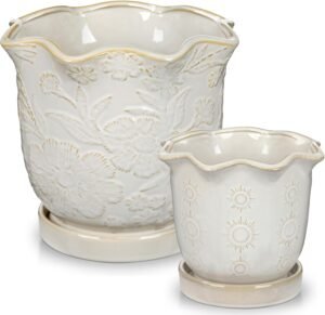 2-Piece Ceramic Planter Set