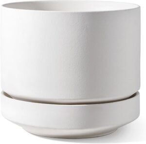 Plant pot (with saucer)