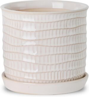 With drainage hole and integrated saucer