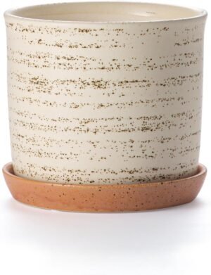 5.8-inch ceramic flower pot
