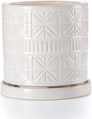 Indoor/Outdoor Ceramic Planter