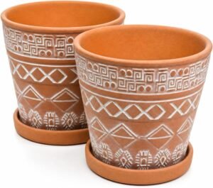 Terracotta Planter