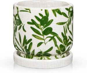 Indoor ceramic planter